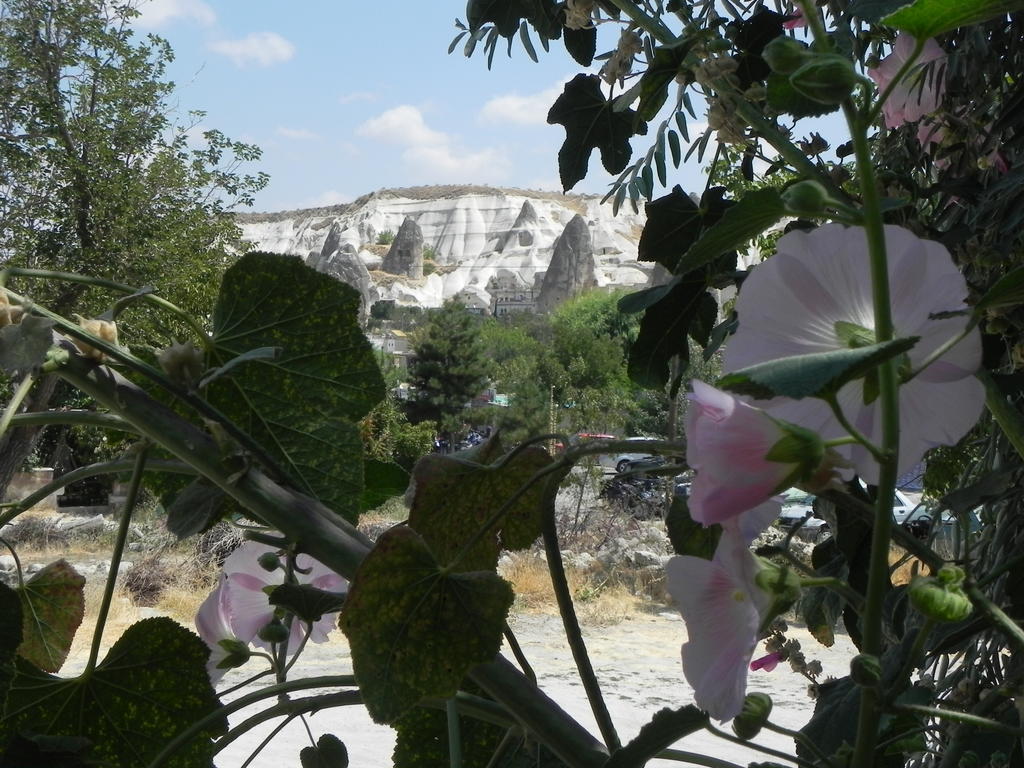 Hotel Kemal's Goreme